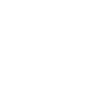 wordpress icon